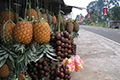 HORTIKULTURA : Keripik Nanas Alternatif Produk Olahan Buah