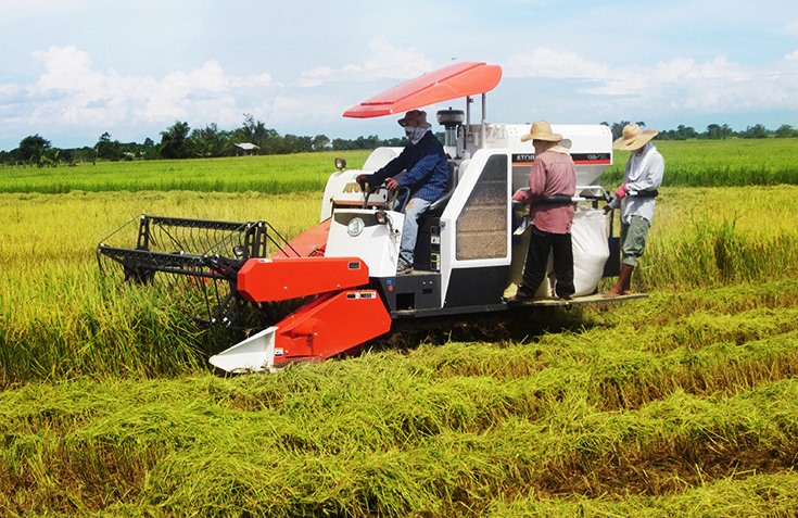 Manfaatkan Combine Harvester, Memaksimalkan Panen