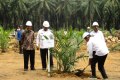 Petani Sawit Pertanyakan Kenaikan Harga Pupuk Non Subsidi Hingga 120%