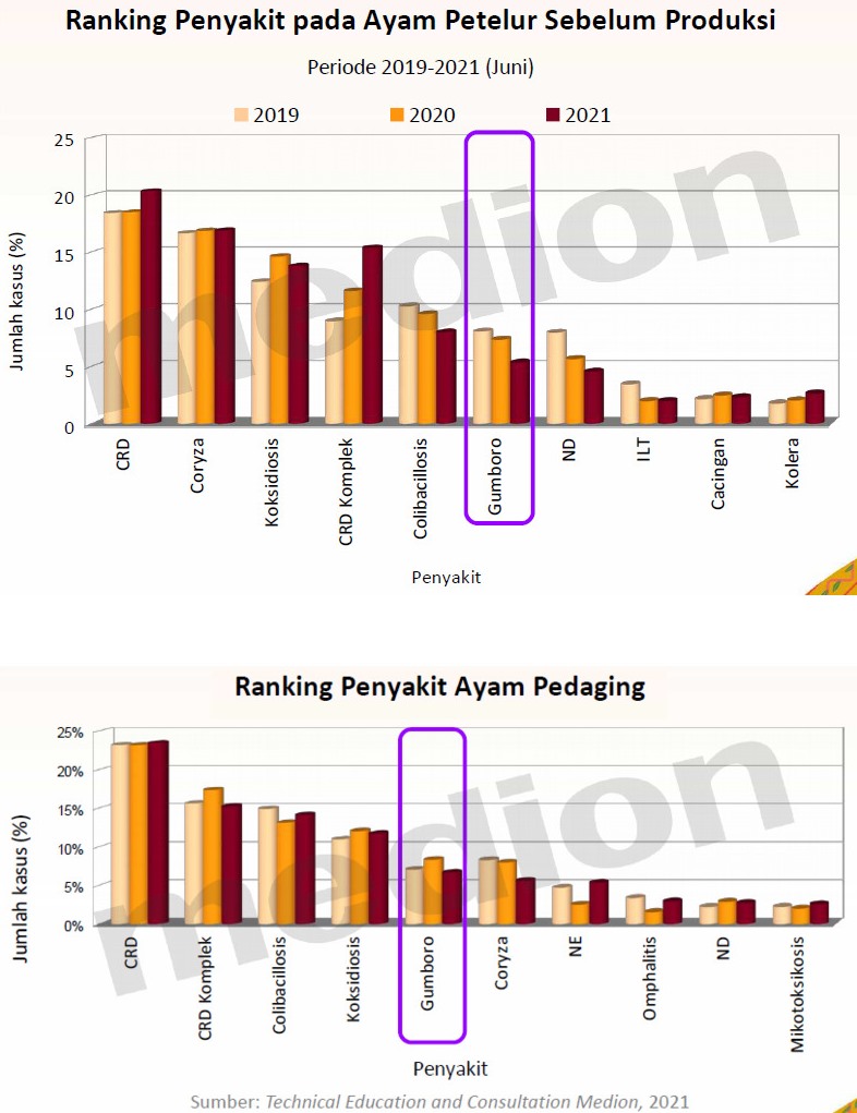 Mengatasi Penyakit, Mengamankan Produksi