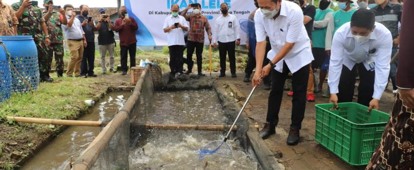 Optimis! Kampung Lele Boyolali Akan Jadi Roda Penggerak Ekonomi Sektor KP di Jateng