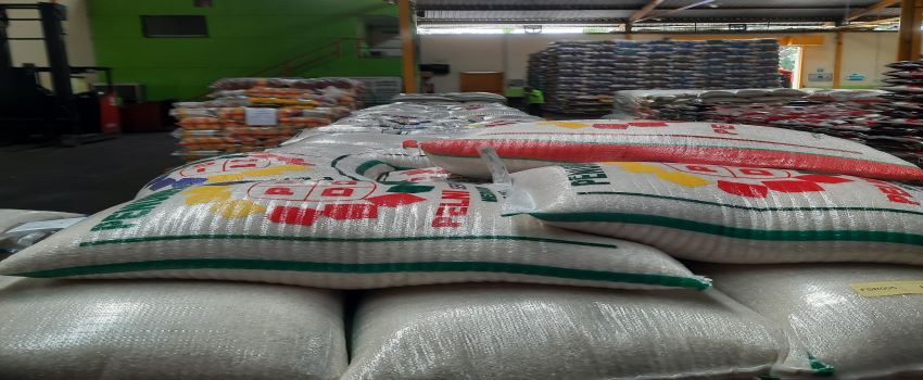 Produksi Padi Turun, Berimbas Naiknya Harga Beras