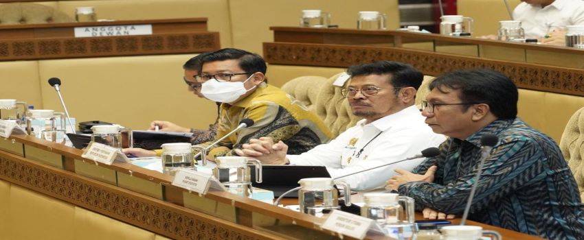 NFA, Kementan, dan BPS Sepakat Sinkronisasi Data Beras