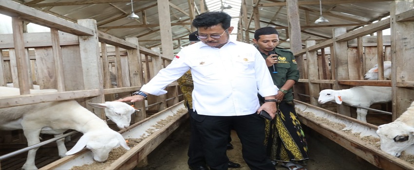 SYL Ajak Para Peternakan Penuhi Kebutuhan Daging Lokal