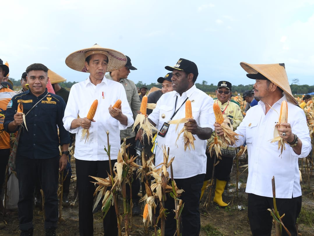 Mentan SYL Dampingi Jokowi Tinjau Ladang Jagung di Food Estate Keerom Papua