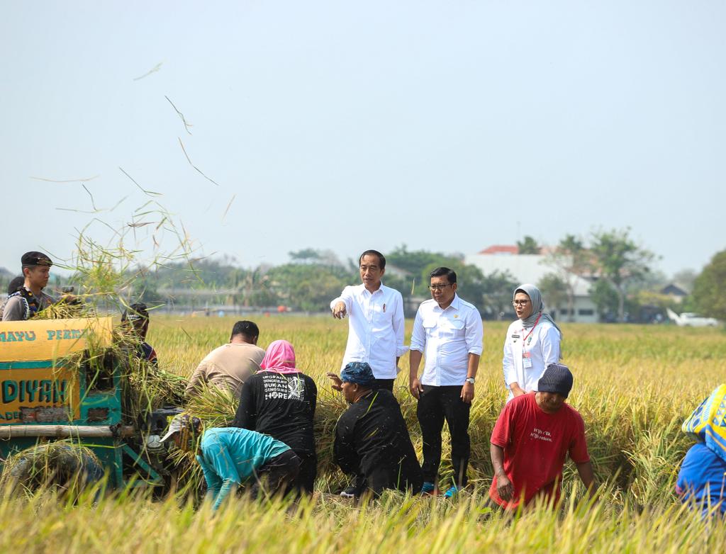 Plt Mentan Pastikan Beras Dalam Negeri Aman dan Terkendali