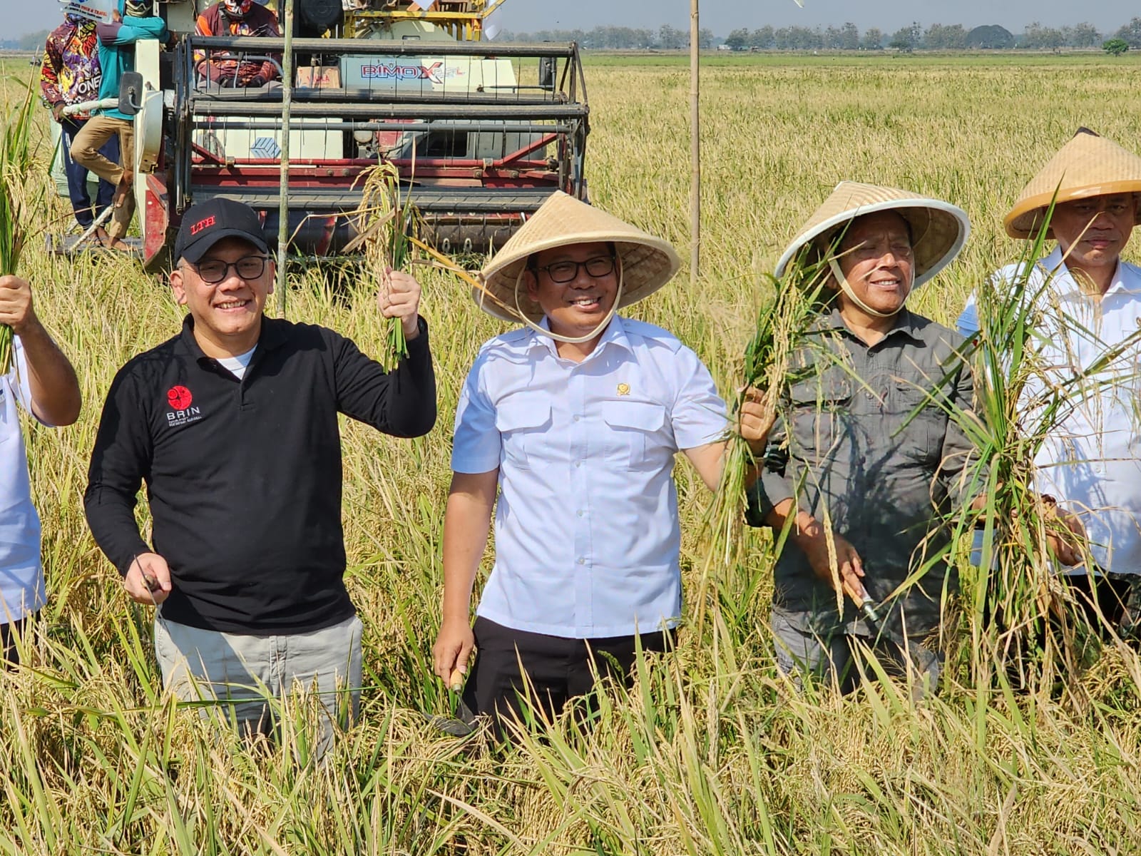 NFA Bangun Pilot Project Ekosistem Hulu Hilir Beras Secara Kolaboratif