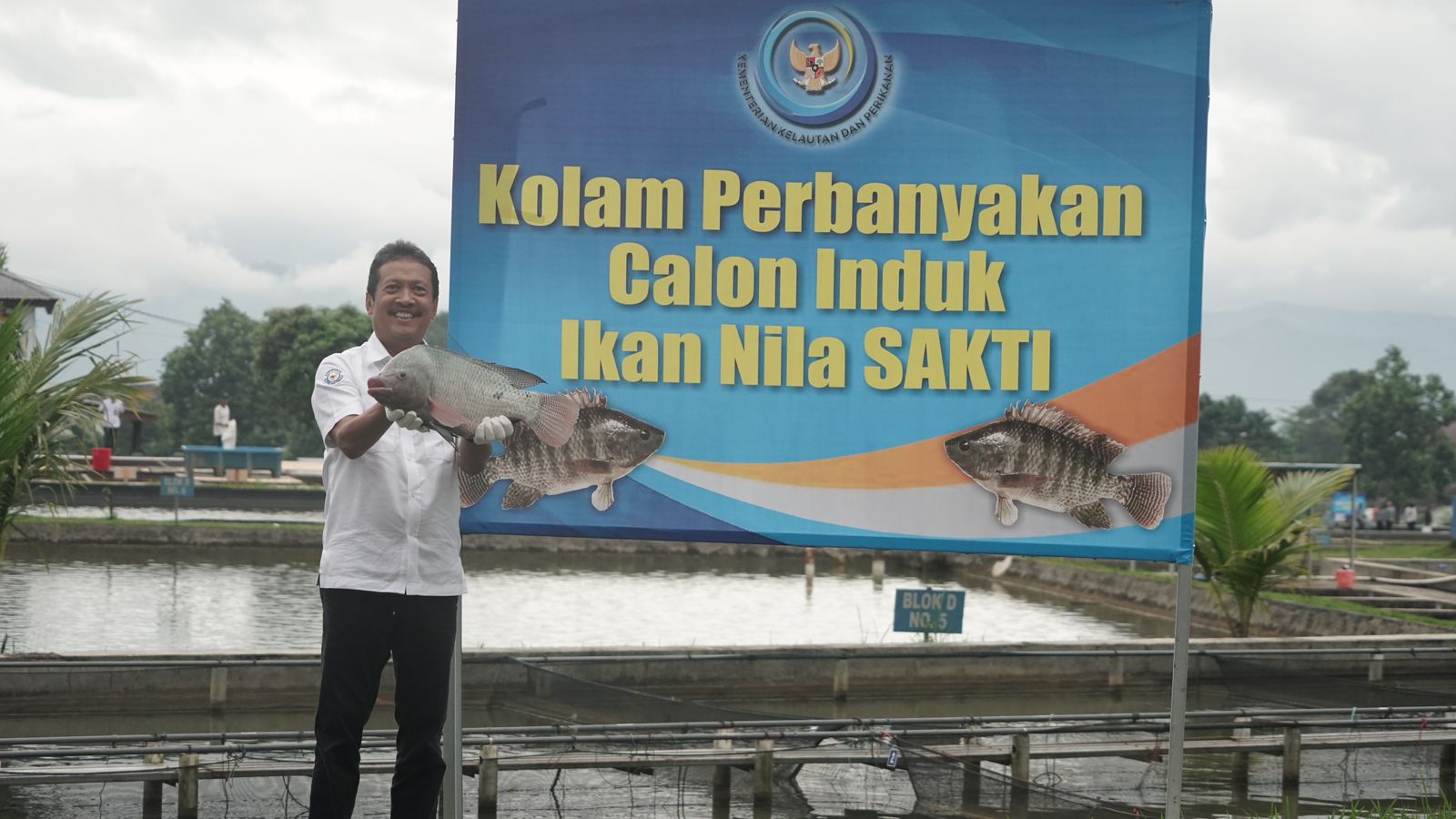 KKP Apresiasi Terbentuknya Asosiasi Tilapia Indonesia