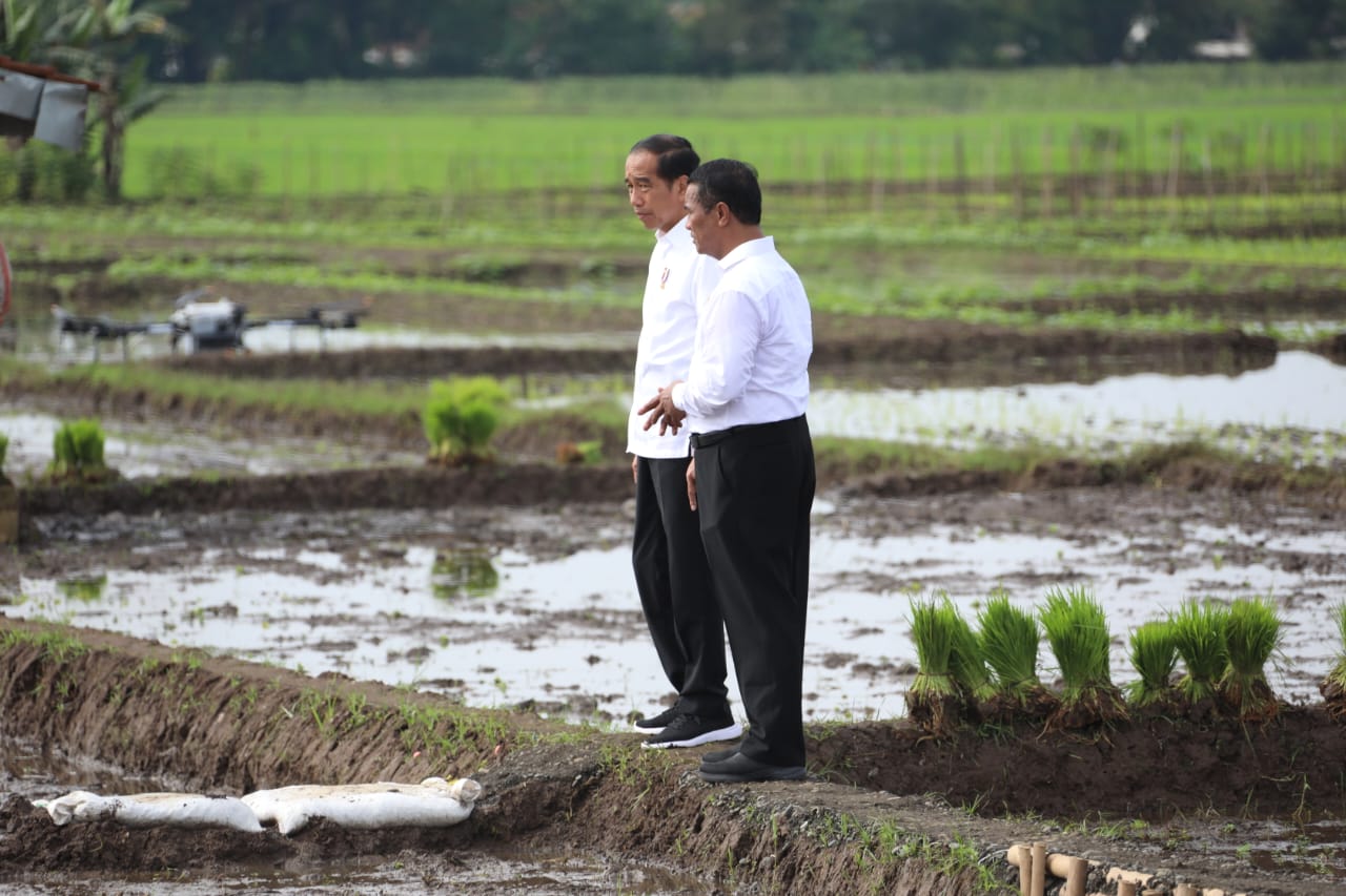 Presiden Pastikan Ketersediaan Pupuk Subsidi Aman