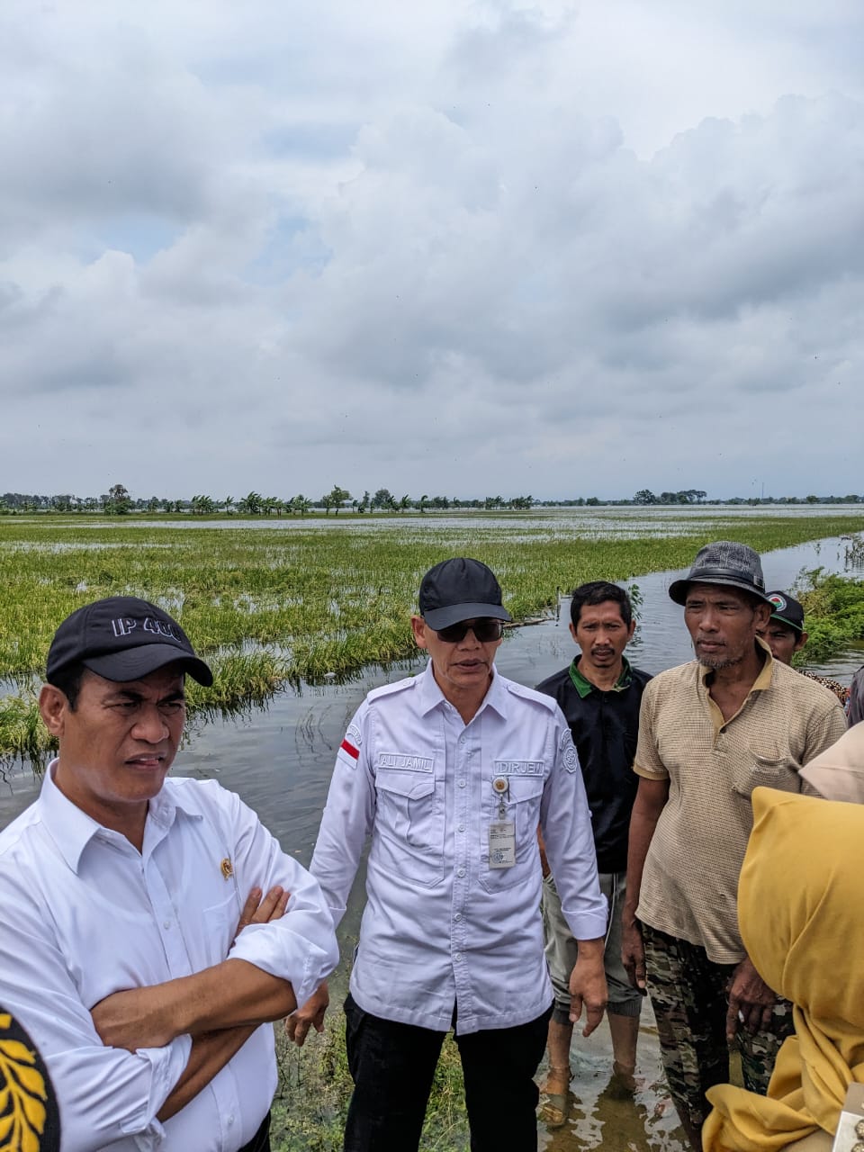 Dari Demak, Mentan Amran Ajak Semua Pihak Bantu Petani Terdampak Banjir di Jateng