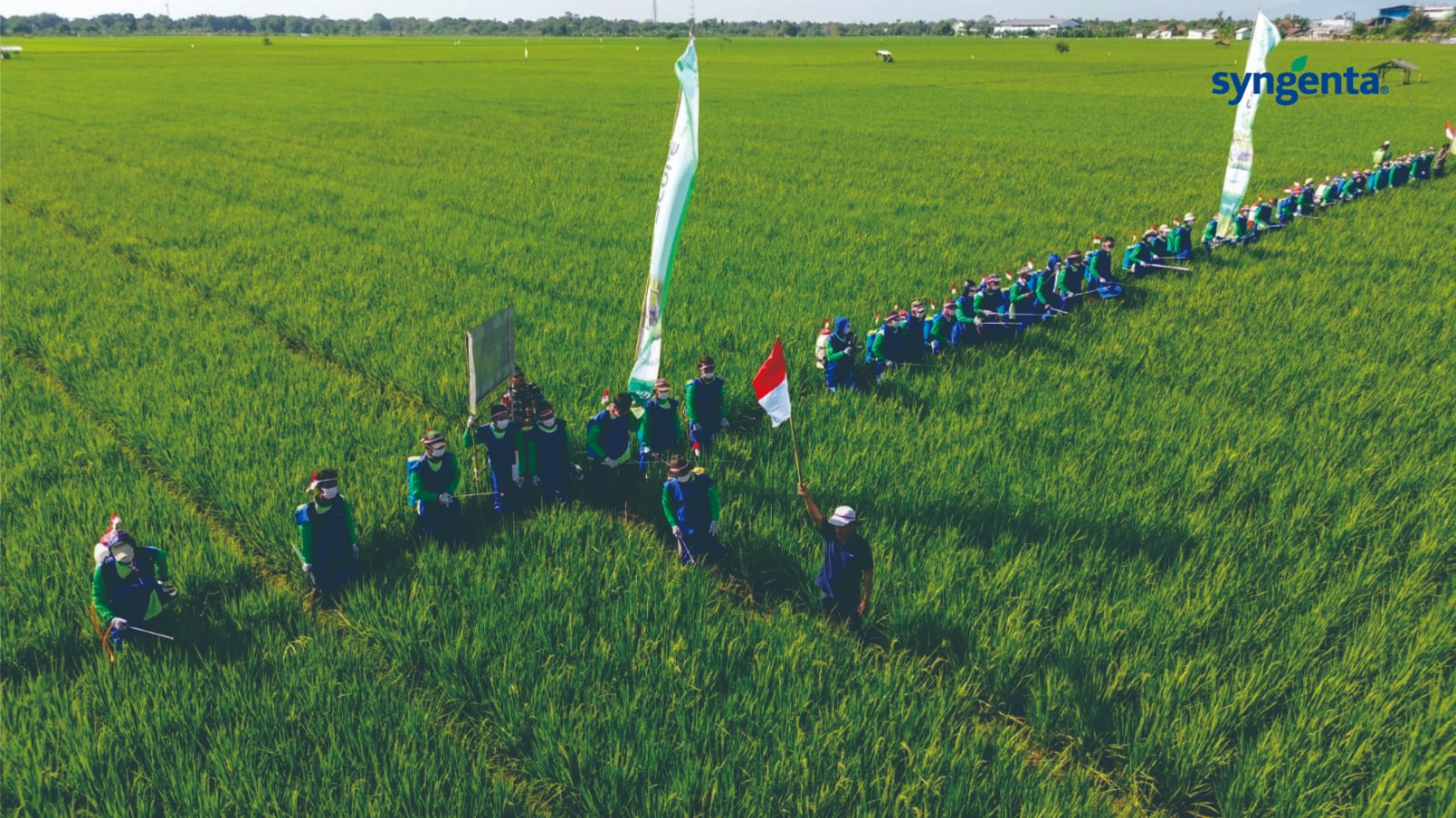 Syngenta Rayakan Kemerdekaan Bersama 10 Ribu Petani Indonesia