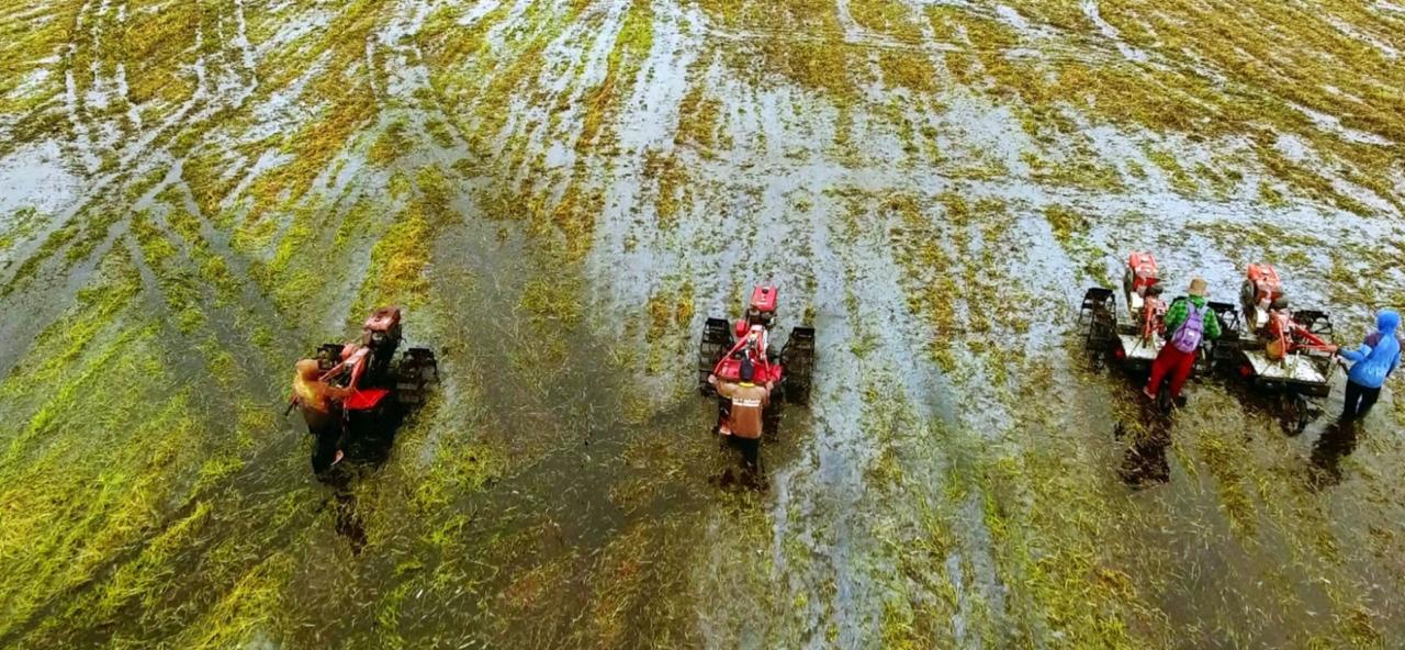 Pemerintah Memastikan Pengadaan Alsintan Transparan