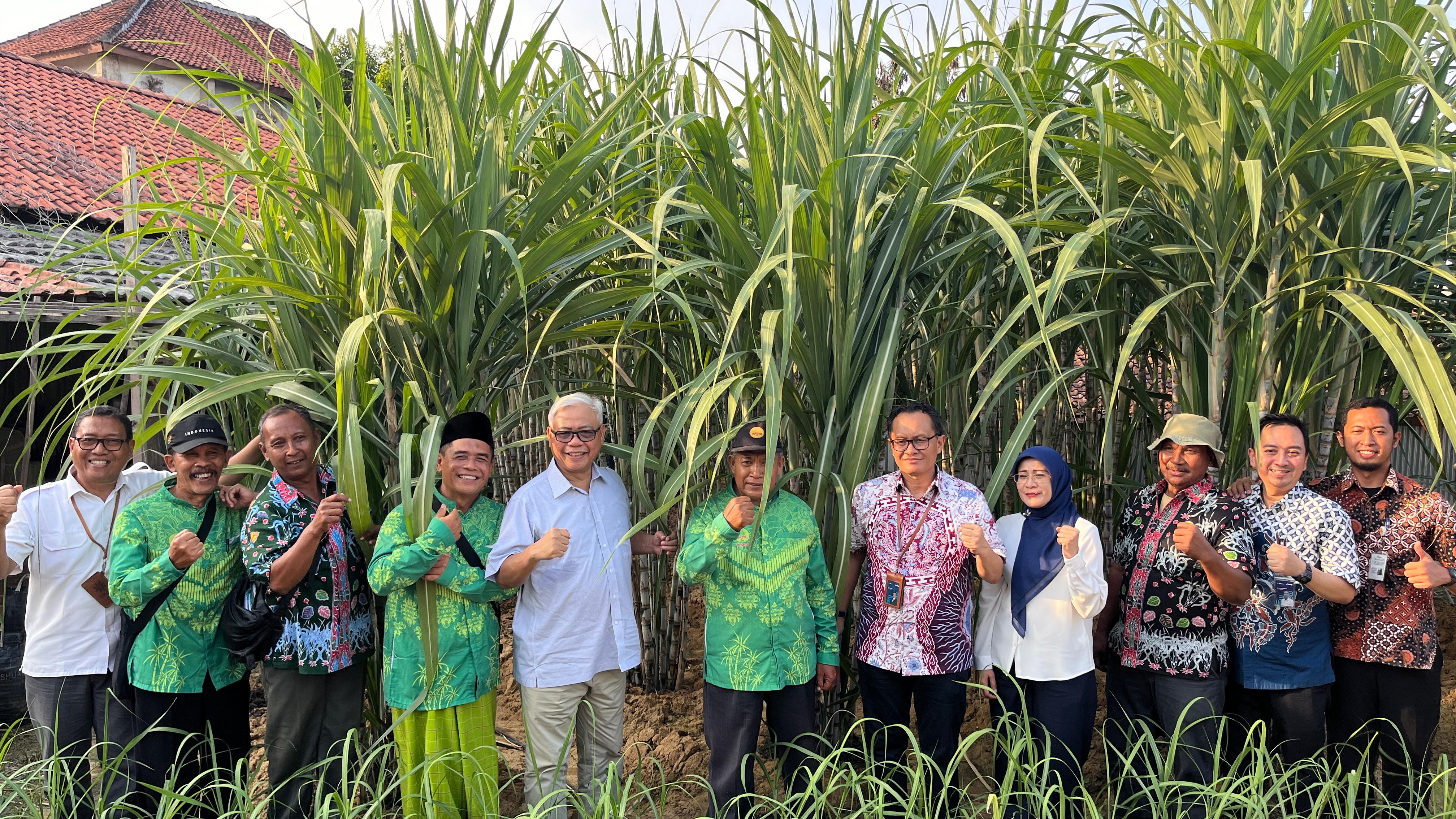 BULOG Berikan 4 Hand Traktor, Dukung Produktivitas Tebu