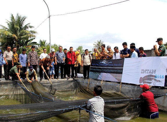 Sinergi Hasilkan Teknologi Produksi Gabus