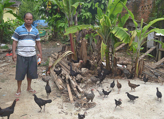 Flu Burung di Bandarlampung Mereda