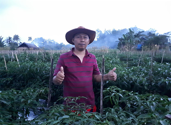 HORTIKULTURA : Nanang Triatmoko Memilih Bertani Ketimbang Jadi Pegawai