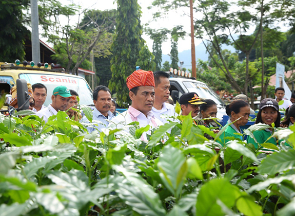 Surplus Perdagangan Pertanian dengan Eropa