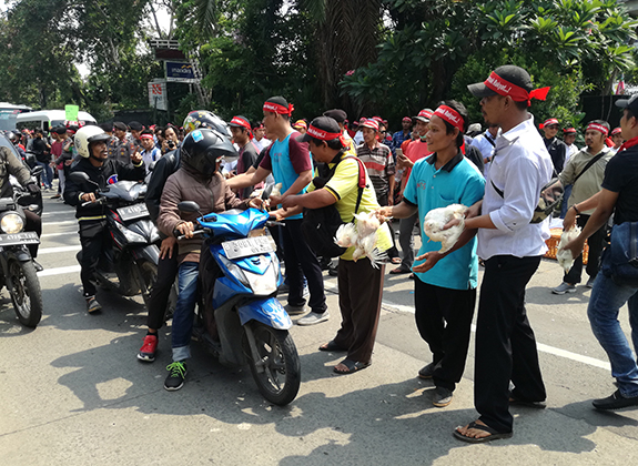 Harga Masih Terpuruk, Peternak Bagi-Bagi Ayam Di Kementan