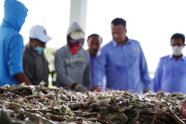 Anggaran Dihemat, Sektor Budidaya Tetap Optimis