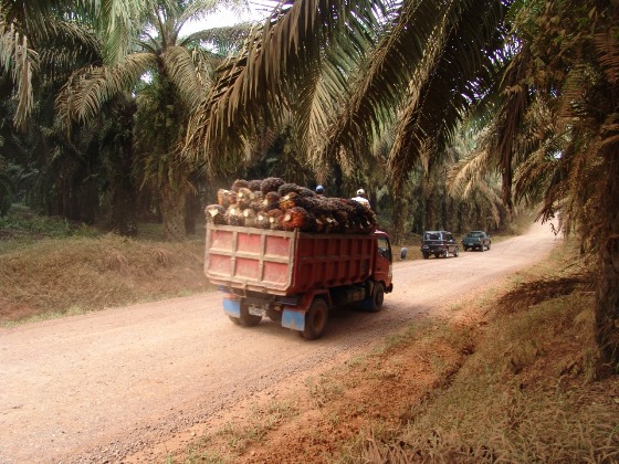 Kelancaran Distribusi Bantu Industri Sawit Hadapi Dampak Pandemi