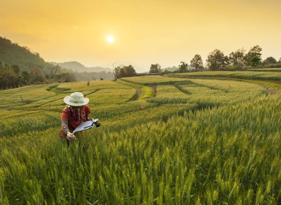 Bayer Bantu Dua Juta Petani Terimbas Pandemi Covid-19