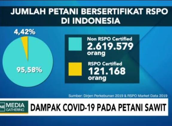 Sertifikasi Berkelanjutan Bantu Petani Sawit Kecil Lewati Pandemi