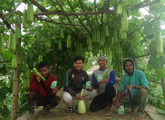 Panen Sayuran Berlipat Berkat EvaGROW  