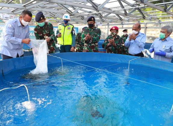 Tambak Milenial Siap Dimasifkan