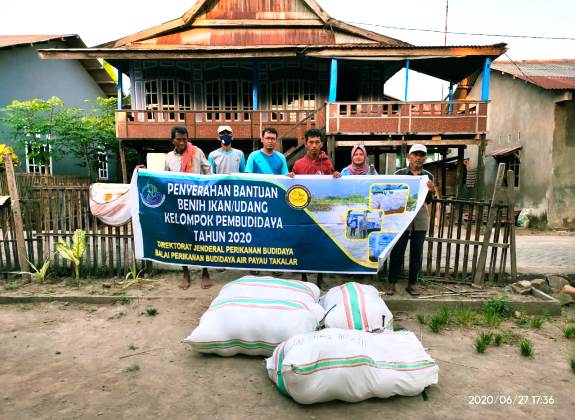 KKP Salurkan 960.000 Benih Udang di Kab. Pangkep