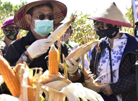 Bantuan Alsintan Demi Mempercepat Pembangunan Food Estate