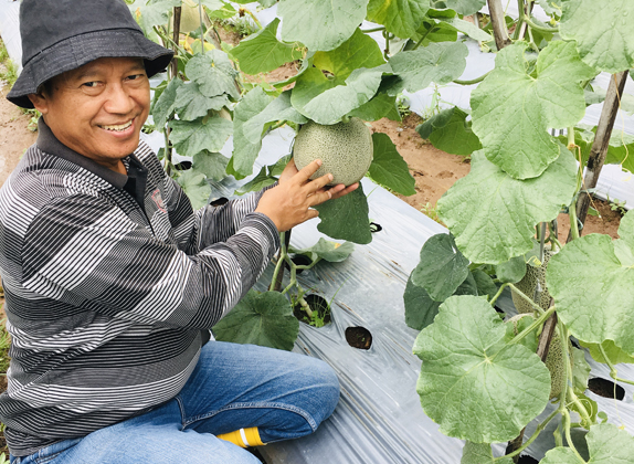 Para Penikmat Manisnya Laba Melon Premium