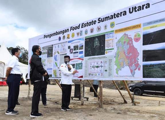 Tiga Komoditas Hortikultura Siap ditanam di Food Estate Sumatera Utara