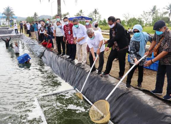 Vokasi Bidang Perikanan Siap Bersaing