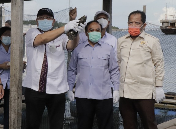 Panen Kerapu Cantang Tingkatkan Kesejahteraan Masyarakat Denpasar Bali 