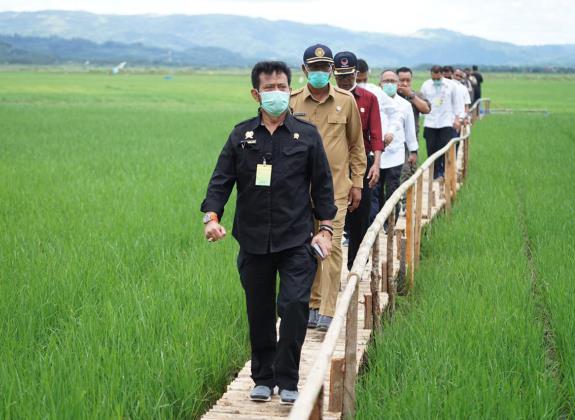 Mentan: Food Estate Sumba Tengah, Memberi kehidupan Lebih Baik