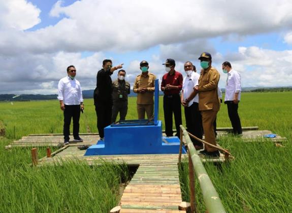 Pengembangan Food Estate Melalui Pendekatan Teknologi