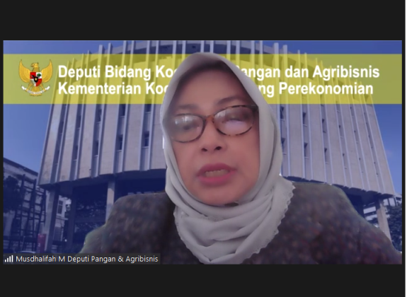 Kemenko Perekonomian: Impor Beras Bukan Saat Petani Panen Raya