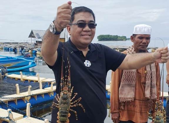 Kadin Bakal Dukung Lombok Jadi Pusat Budidaya Lobster