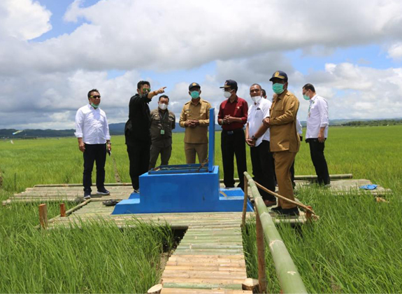 Komitmen CropLife Indonesia Mendukung Food Estate