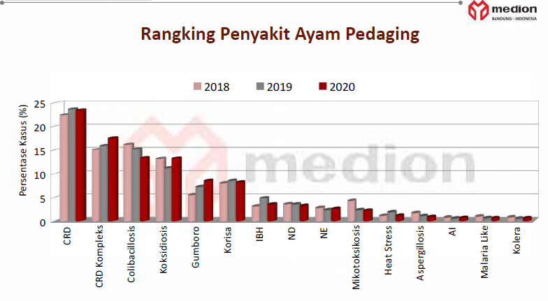 Menilik Tren Penyakit Viral pada Unggas