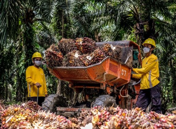 AALI Raih Indonesia Best CSR Award 2021