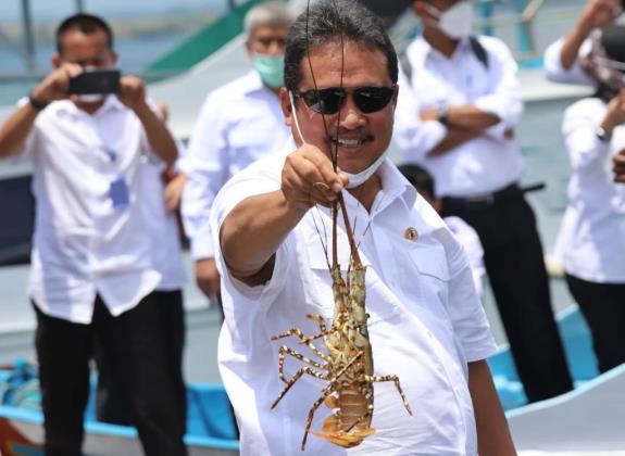 Permen KP 17/2021 Jamin Kemudahan Budidaya Lobster