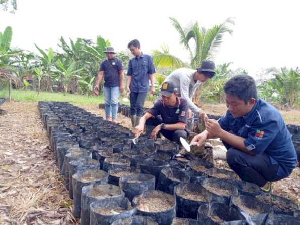 Dirjenbun Buka Pendaftaran Daring Beasiswa BPDPKS