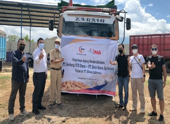 220 Ton Jagung Rendah Aflatoksin Petani Sukses Dikirim ke PT Miwon Indonesia