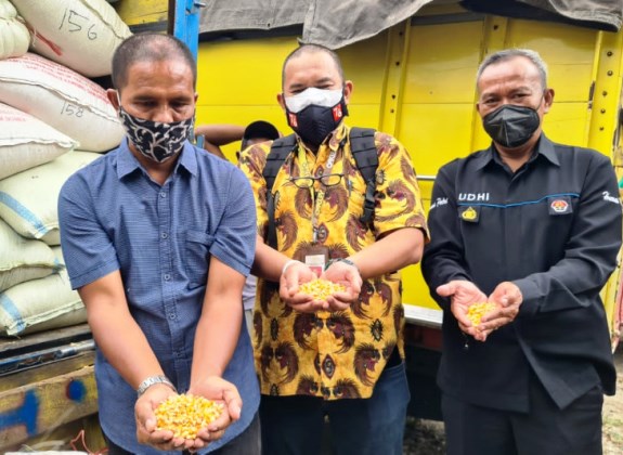 Peternak Layer Viral Suroto Terima 20 Ton Jagung dari Jokowi