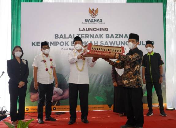 BAZNAS Luncurkan Program Balai Ternak Kelompok Unggas