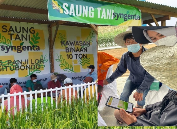 Manfaatkan Teknologi Digital, Syngenta Terus Jalin Kemitraan dengan Petani