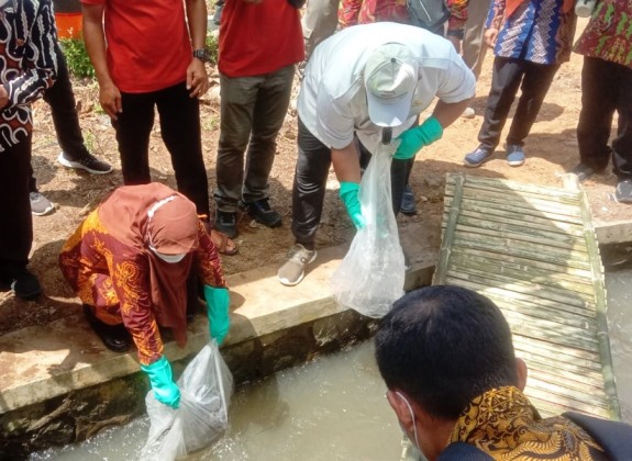 Kelola Sidat Berkelanjutan, KKP Gandeng FAO Tingkatkan Survival Rate