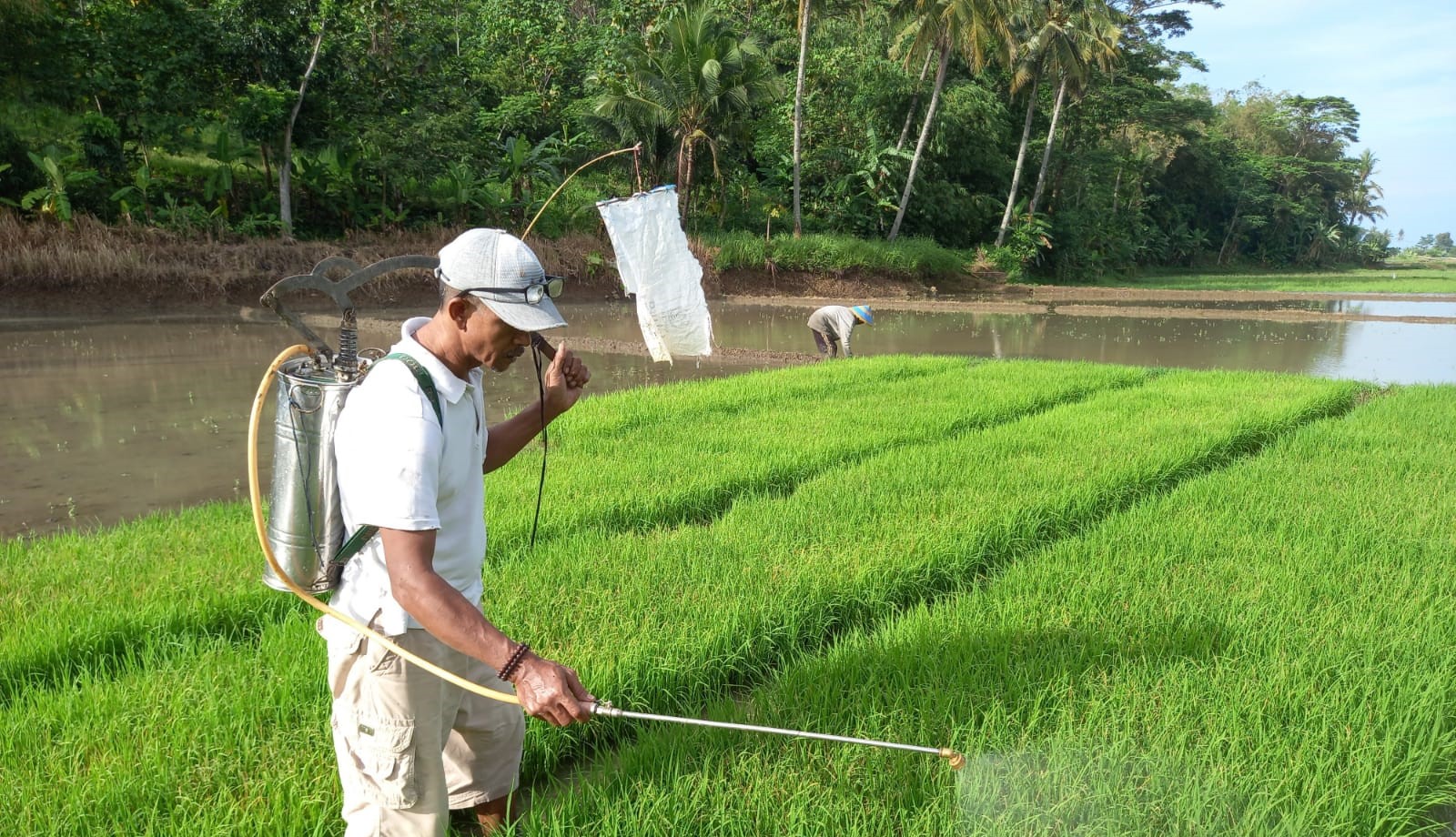 Kementan Dorong Petani Terapkan BTS