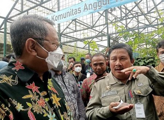 Ditjen Hortikultura: Urban Farming Berpotensi Besar Bagi Masyarakat